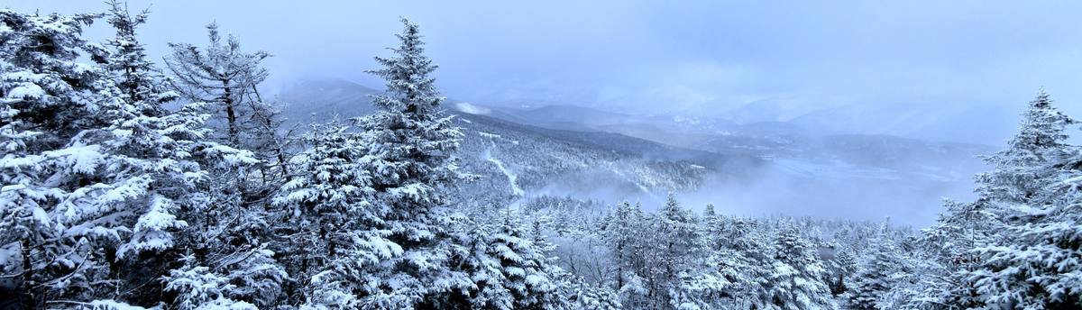 Snow-plastered spruce on a Killington ridge above a fogged valley, ski trails cut down the wooded slopes beyond