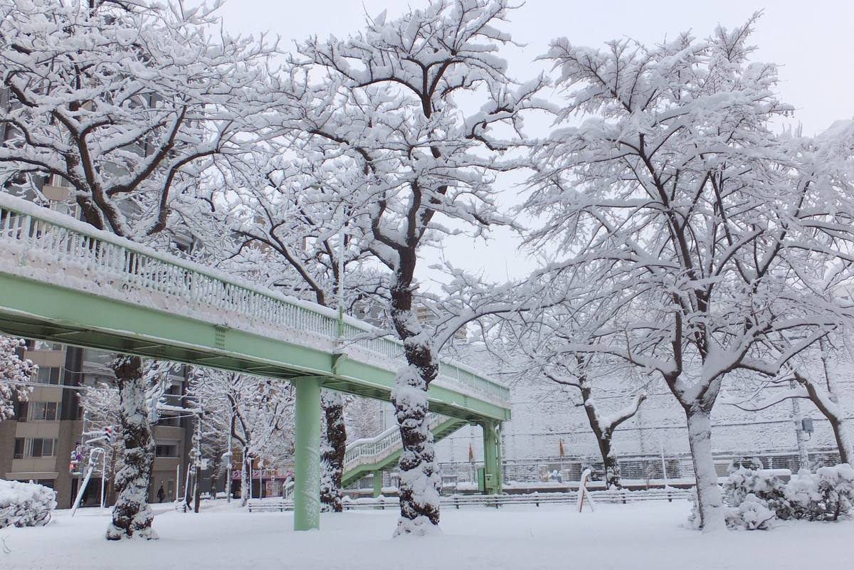 A Sapporo neighborhood after heavy snowfall — a mint-green pedestrian overpass and snow-laden trees in a buried park, apartment blocks behind